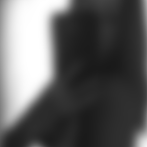 rencontre-Cougar-Muret
