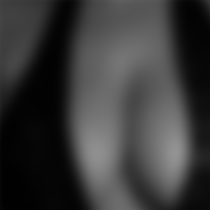 rencontre-Cougar-Saint-Denis